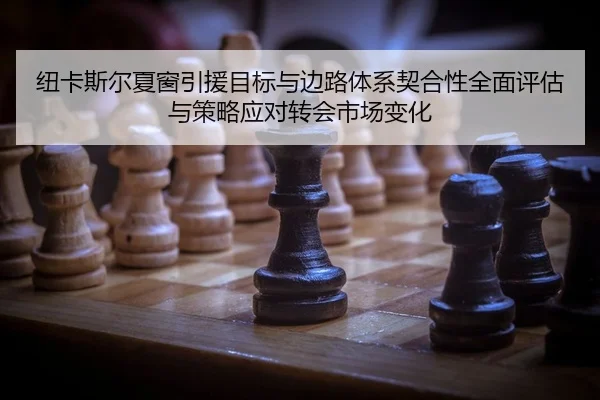 纽卡斯尔夏窗引援目标与边路体系契合性全面评估与策略应对转会市场变化 - yaxin